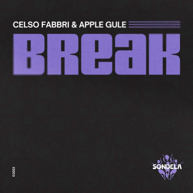 Break album art