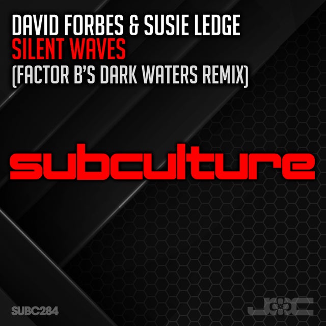 Silent Waves - Factor B's Dark Waters Extended Remix album art