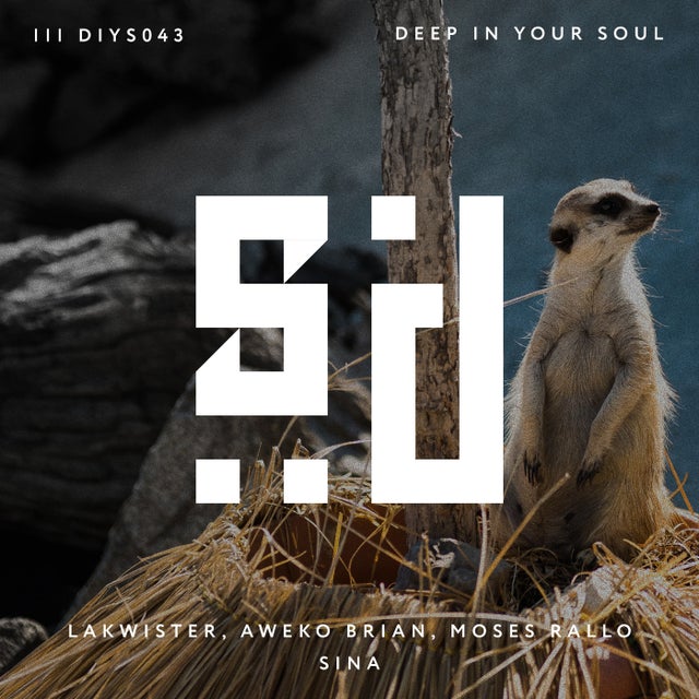 Sina album art