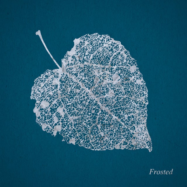 Frosted album art