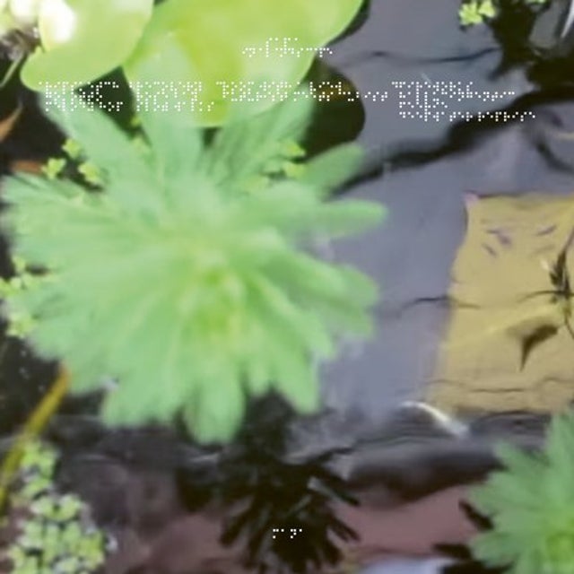 Recovery album art