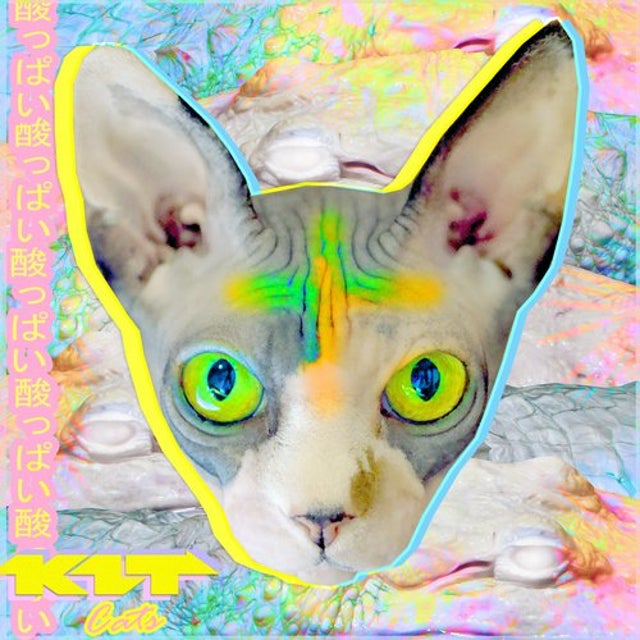 Cats album art