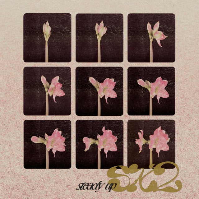 Steady Up - Extended album art
