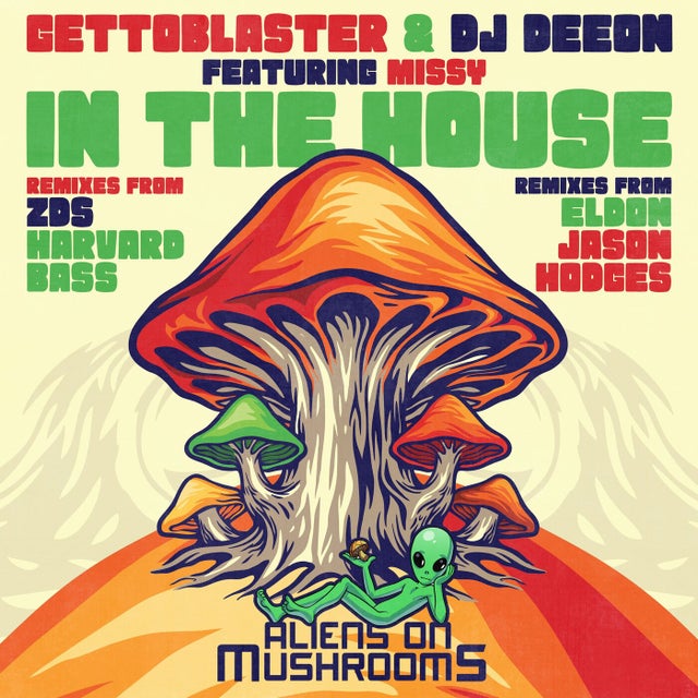 In The House - Jason Hodges Remix album art