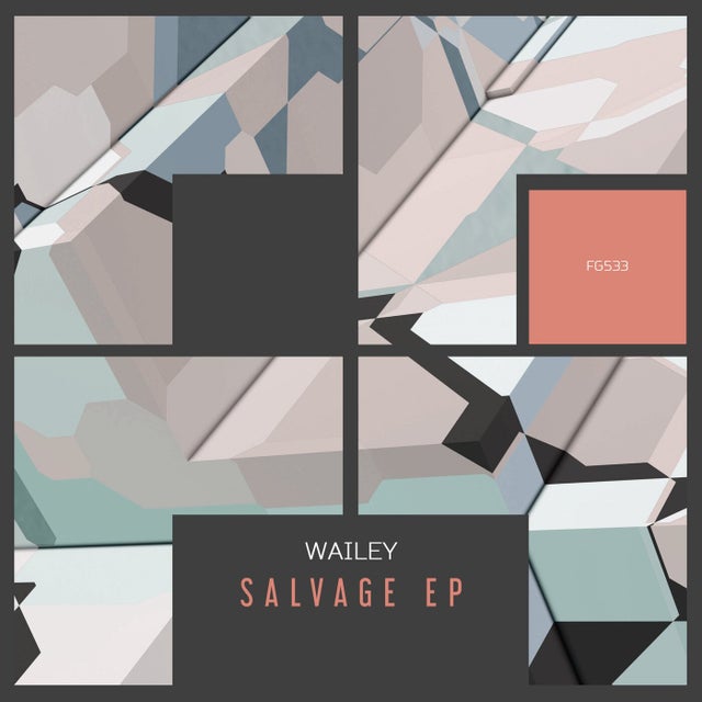 Salvage album art