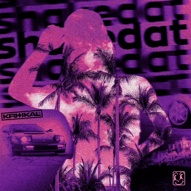 shakedat - Extended Mix album art