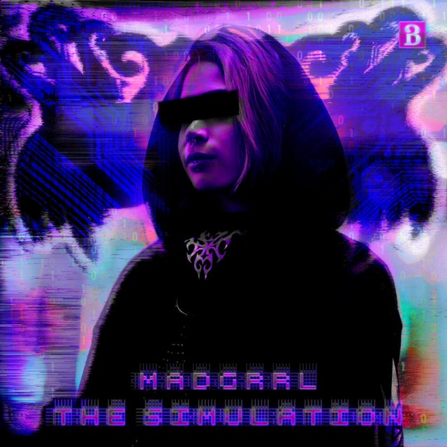The Simulation album art