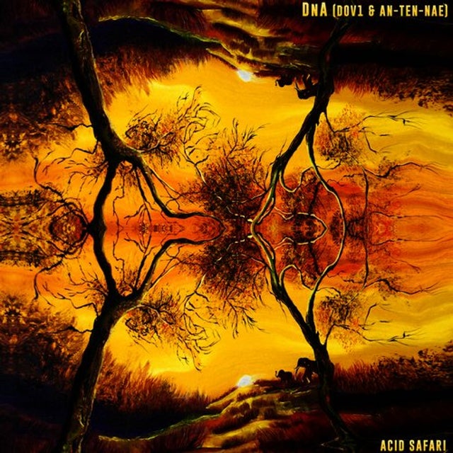 Acid Safari album art
