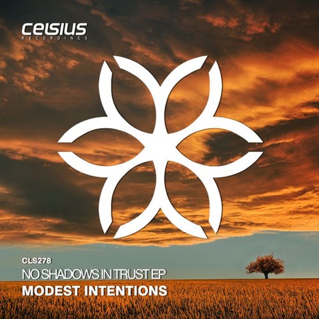 Meaningful life album art