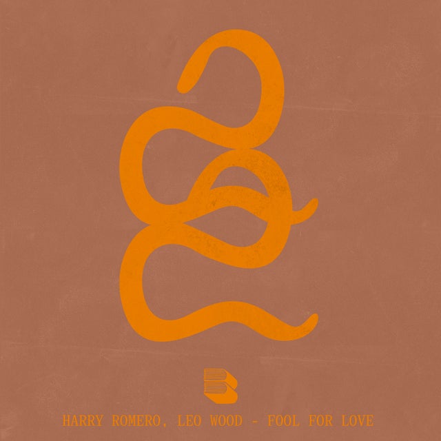 Fool For Love - Extended Mix album art