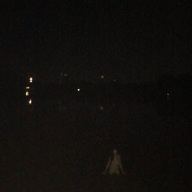 Siren album art
