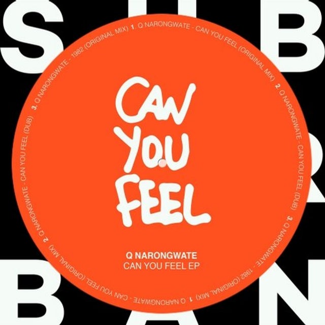 Can You Feel album art