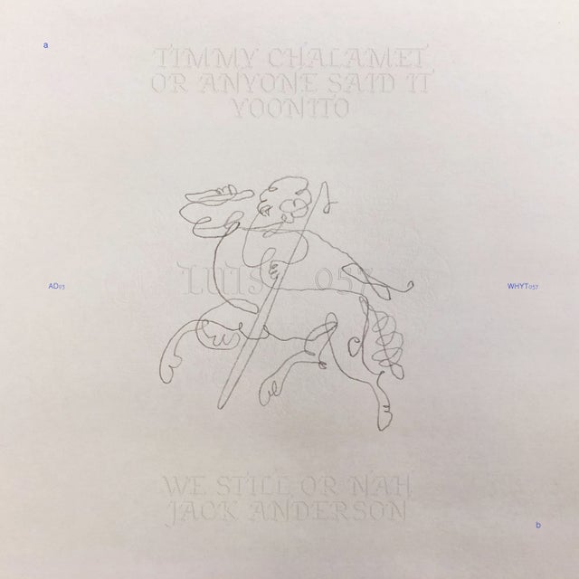 timmy chalamet album art