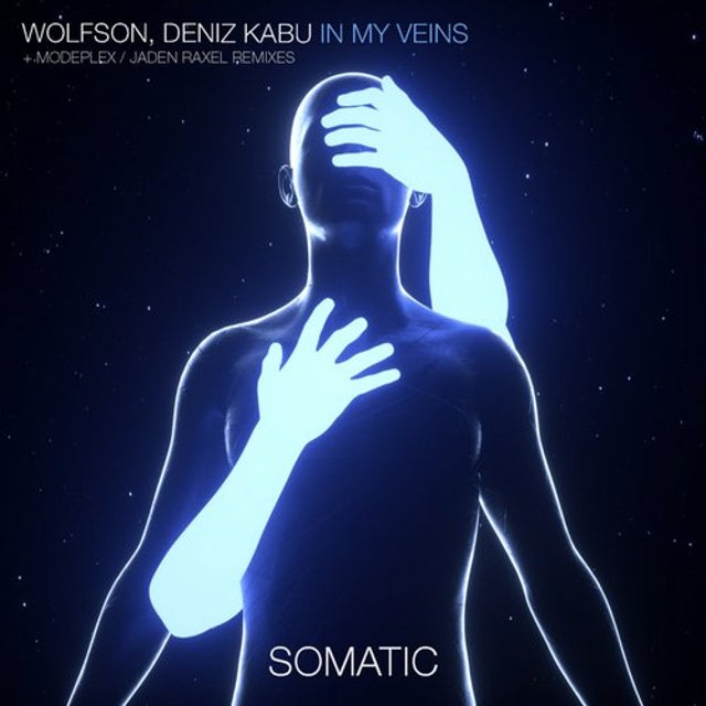 In My Veins - Modeplex Remix album art