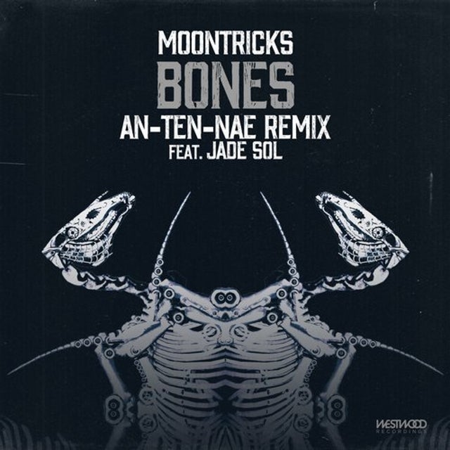 Bones - An-Ten-Nae feat. Jade Sol Remix album art