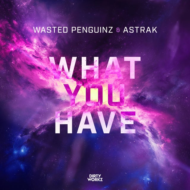 What You Have - Extended Mix album art