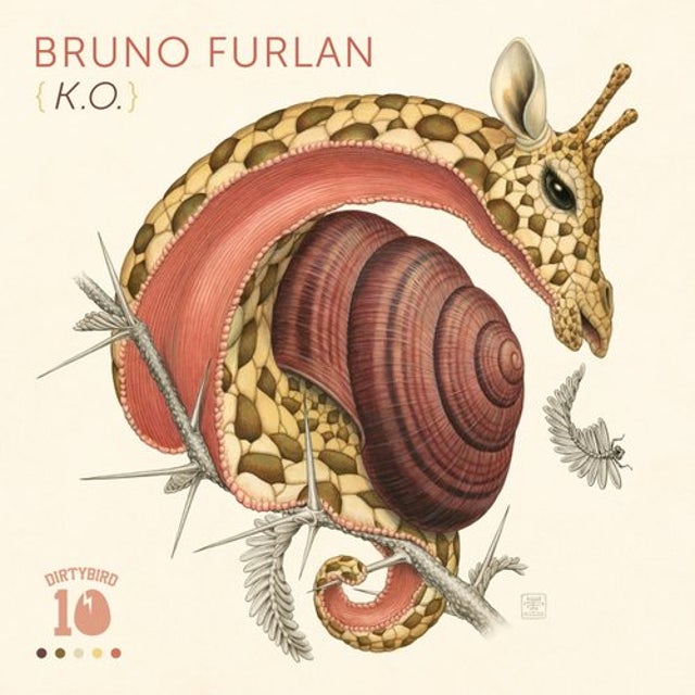 K.O. album art