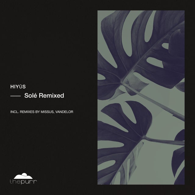 Solé - Vandelor Rework album art