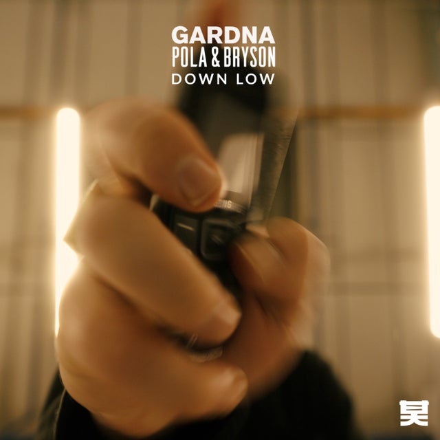 Down Low album art