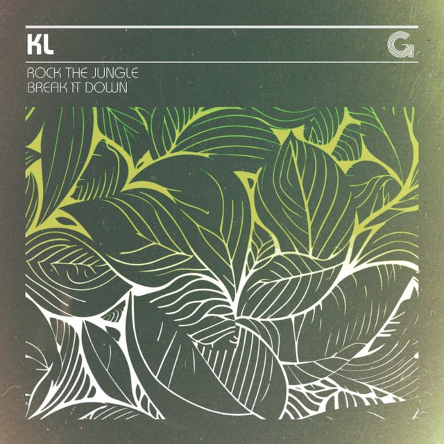 Rock The Jungle album art