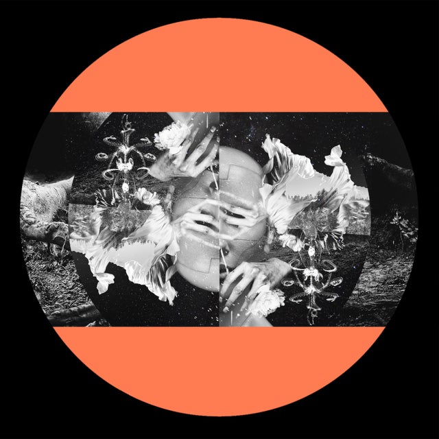 K9 album art