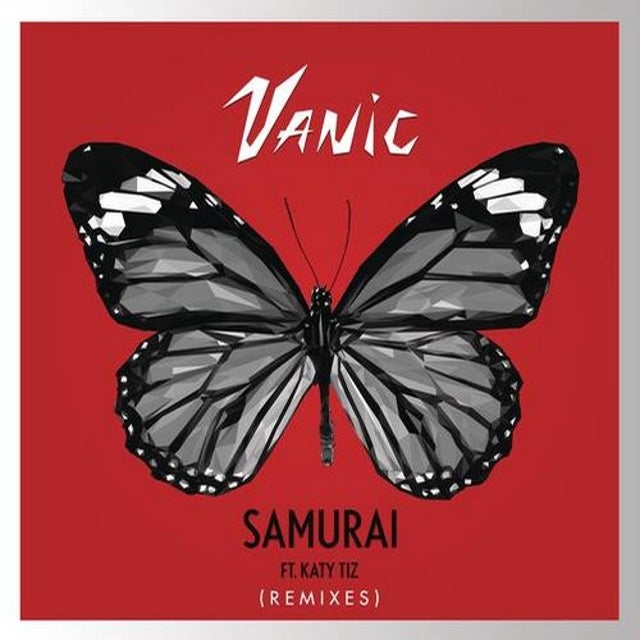 Samurai - pluko Remix album art