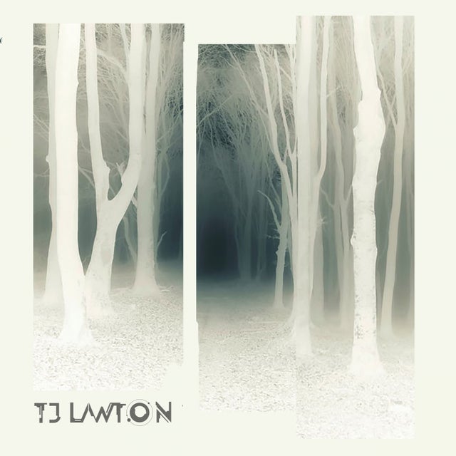 Trelkaw - Fausto Remix album art