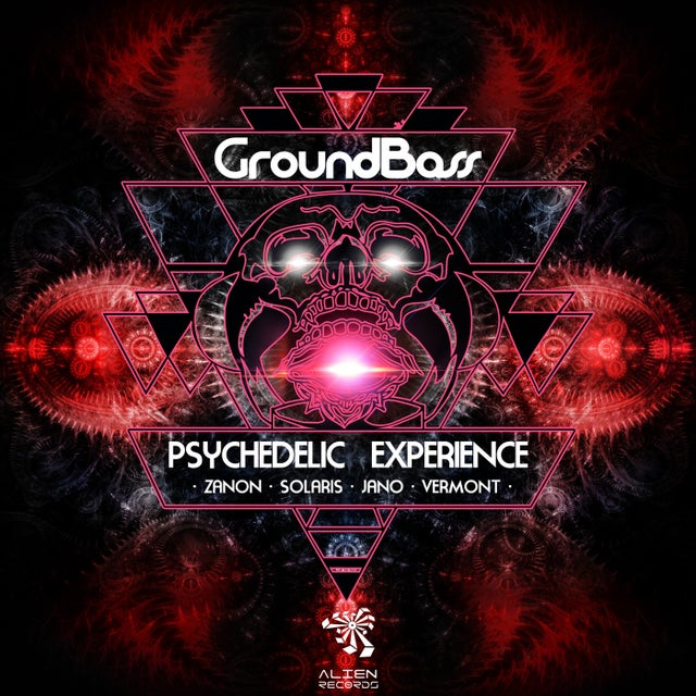Psychedelic Experience album art