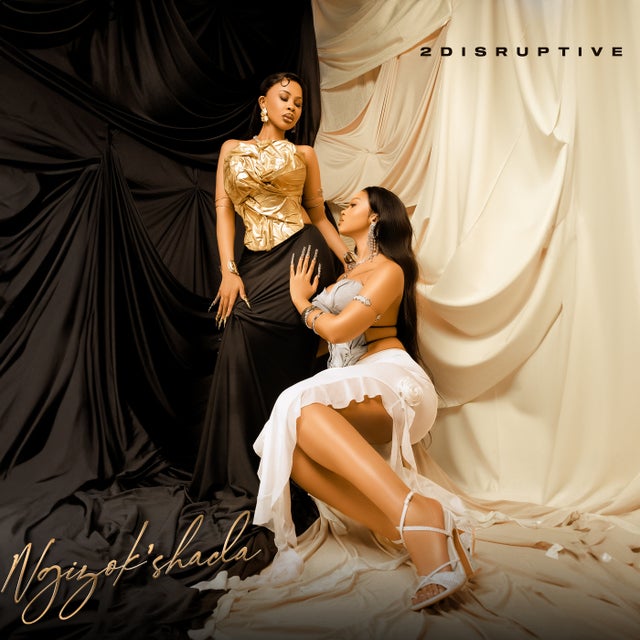 Ngizokshada (feat. Miss Ready, Teraphonique, Chilli Bite & Steve.Artchild) album art