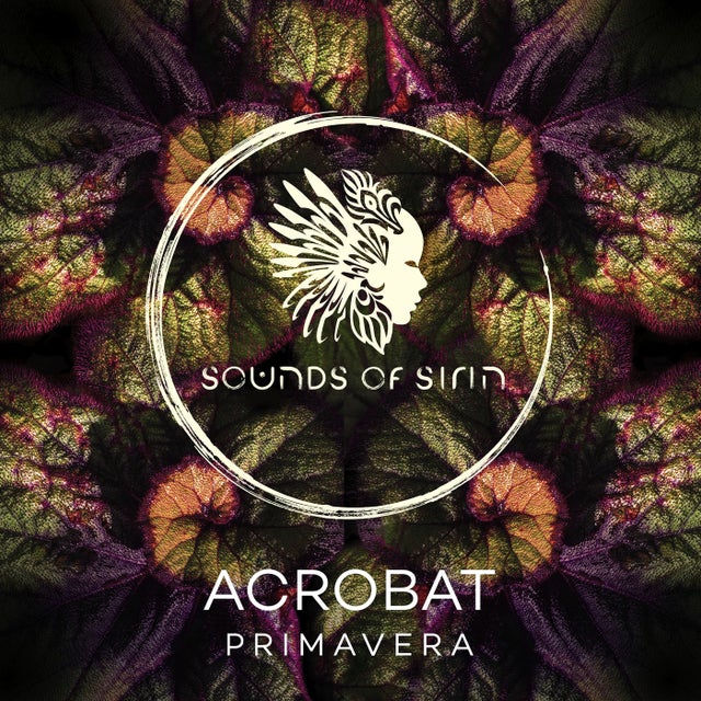 Primavera album art