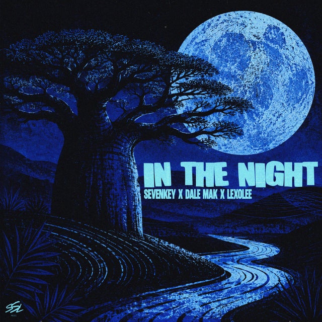 In The Night - Extended Mix album art