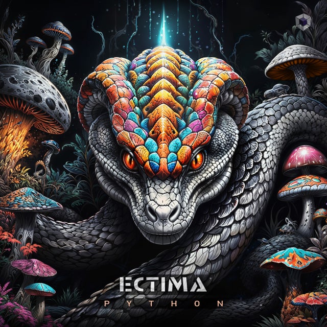 Python album art