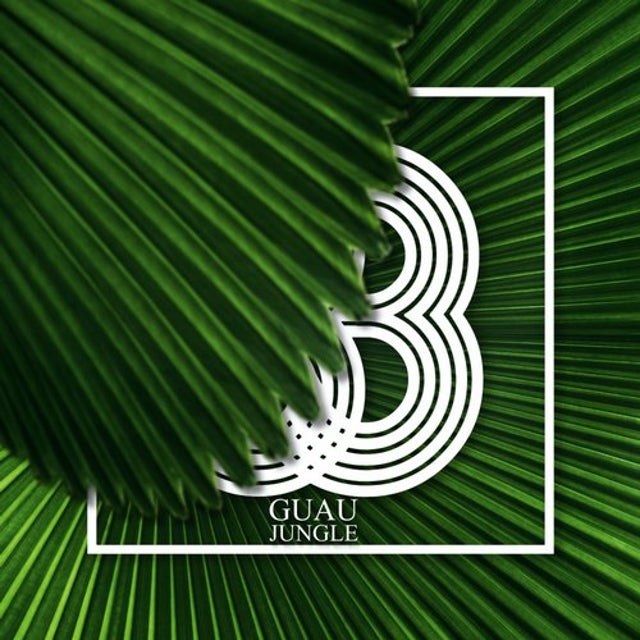 Jungle - Extended Mix album art