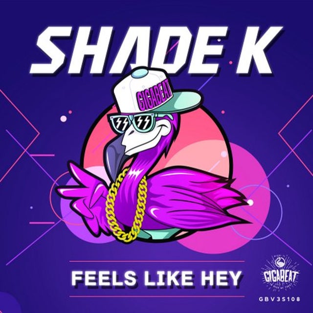 Feels Like Hey album art