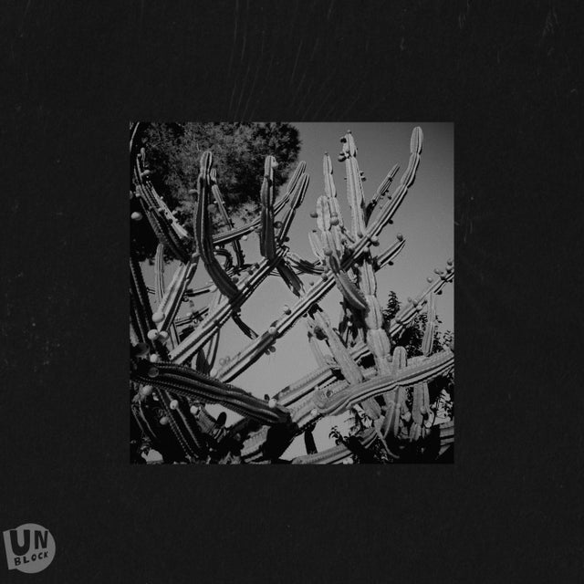 Bonguitos 2008 album art