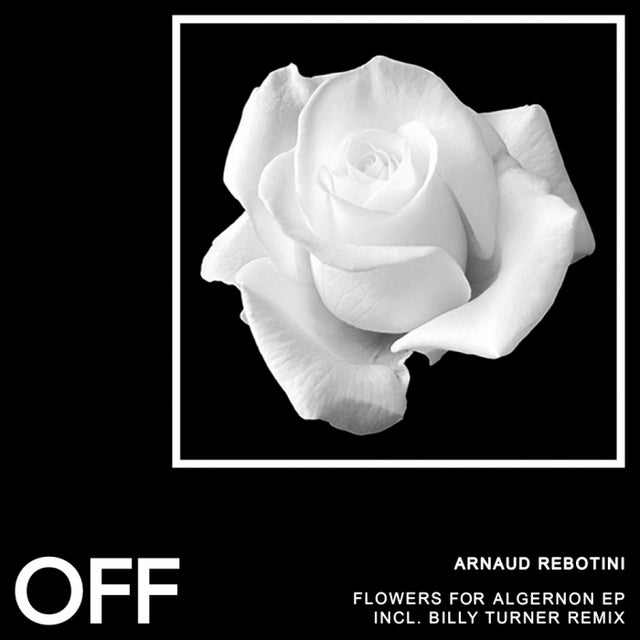Flowers For Algernon album art