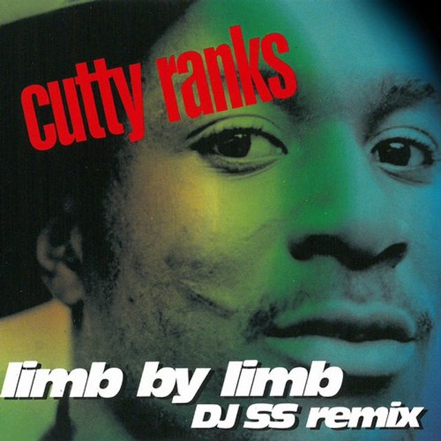 Limb by Limb - DJ SS Remix album art