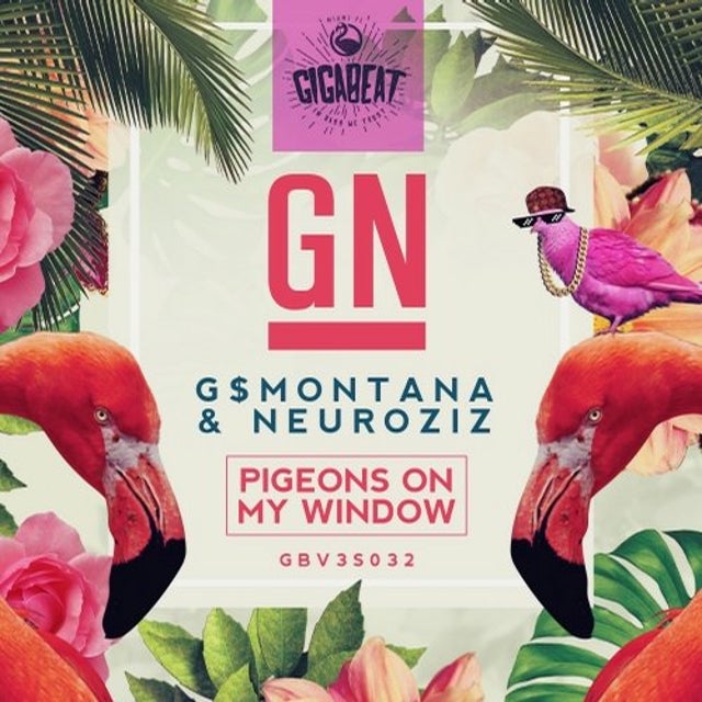 Pigeons On My Window album art