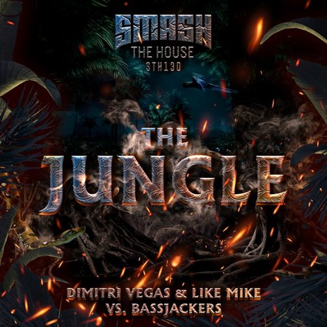 The Jungle album art