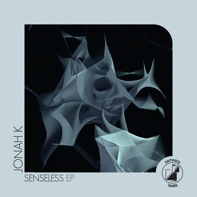 Senseless - Danky Remix album art