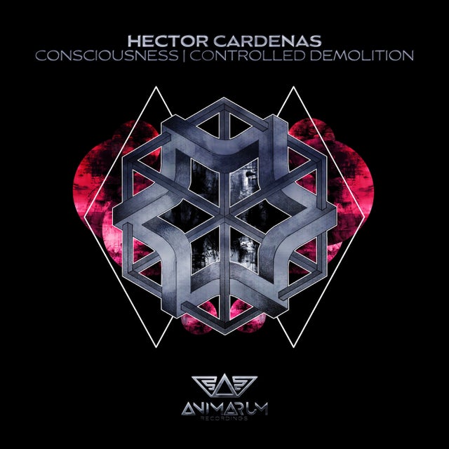 Consciousness album art