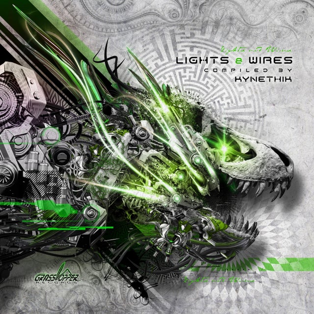 Values of Humanity album art