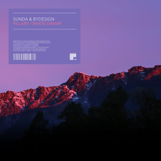 Pillars - Extended Mix album art