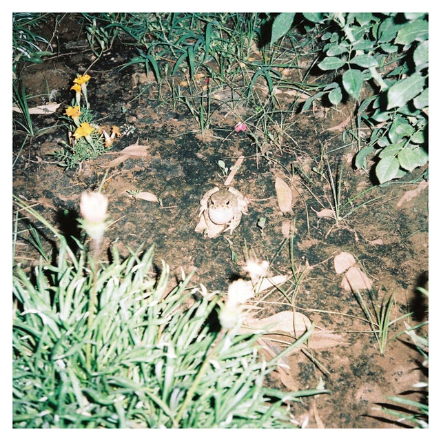 Marrakesh Vertigo album art