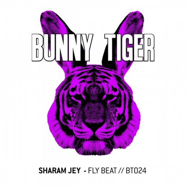 Fly Beat album art