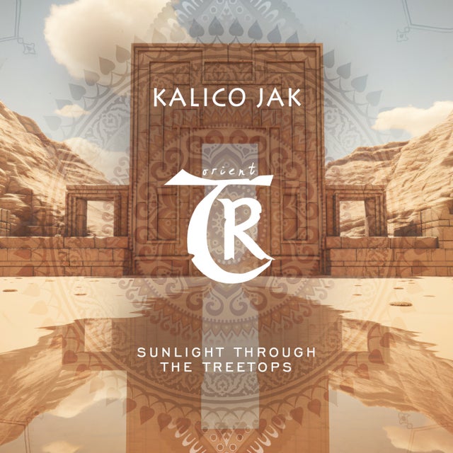 Sunlight Through the Treetops album art