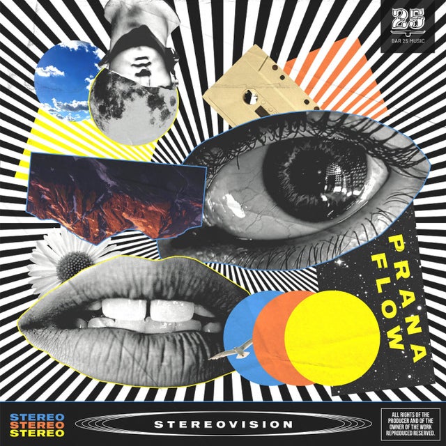 Stereovision album art