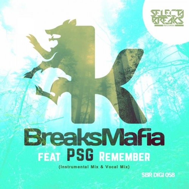 Remember (feat. PSG) album art