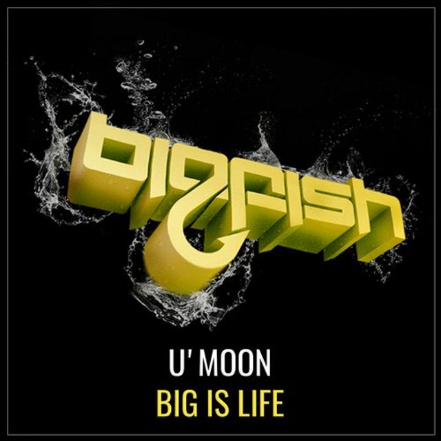 Big is Life album art