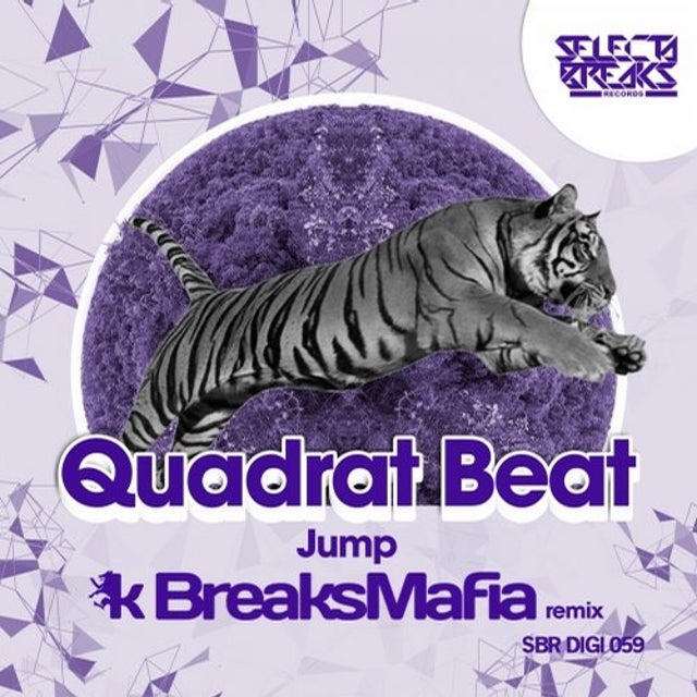 Jump - BreaksMafia Remix album art